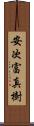 安次富真樹 Scroll