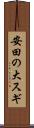 安田の大スギ Scroll