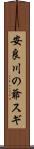 安良川の爺スギ Scroll