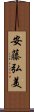 安藤弘美 Scroll