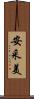 安采美 Scroll