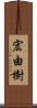 宏由樹 Scroll