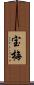 宝梅 Scroll