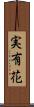 実有花 Scroll