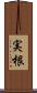 実根 Scroll