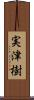 実津樹 Scroll