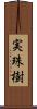 実珠樹 Scroll