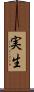 実生 Scroll