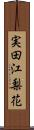 実田江梨花 Scroll