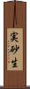 実砂生 Scroll