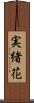実緒花 Scroll