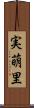 実萌里 Scroll