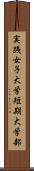 実践女子大学短期大学部 Scroll