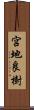 宮地良樹 Scroll