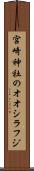 宮崎神社のオオシラフジ Scroll