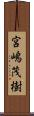 宮嶋茂樹 Scroll
