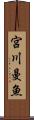 宮川曼魚 Scroll