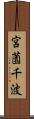 宮薗千波 Scroll