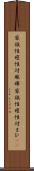 家族性痙性対麻痺 Scroll