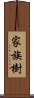 家族樹 Scroll