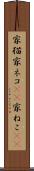 家猫 Scroll