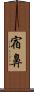 宿鼻 Scroll