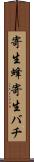 寄生蜂 Scroll