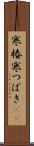 寒椿 Scroll