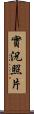 實況照片 Scroll