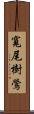 寬尾樹鶯 Scroll