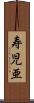 寿児亜 Scroll