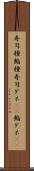 寿司種 Scroll
