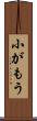 小がもう Scroll