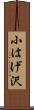 小はげ沢 Scroll