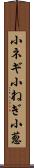 小ネギ Scroll