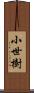 小世樹 Scroll