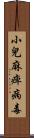 小兒麻痺病毒 Scroll