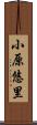 小原悠里 Scroll