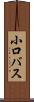 小口バス Scroll