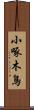 小啄木鳥 Scroll