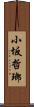 小坂哲瑯 Scroll