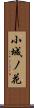 小城ノ花 Scroll