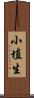 小埴生 Scroll