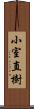 小室直樹 Scroll