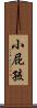 小屁孩 Scroll