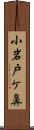 小岩戸ケ鼻 Scroll