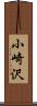 小崎沢 Scroll