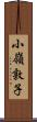 小嶺敦子 Scroll
