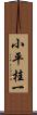 小平桂一 Scroll