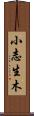 小志生木 Scroll